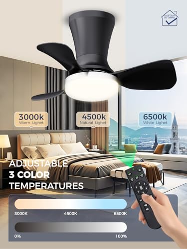Image of LANMEL Ceiling Fan with Light, Modern Flush Mount Low Profile with Remote Control, Reversible, 3CCT Dimmable, Quiet,LED for Bedroom, Living Room, Indoor /Outdoor Patio Use 22 Inch Silver & Black