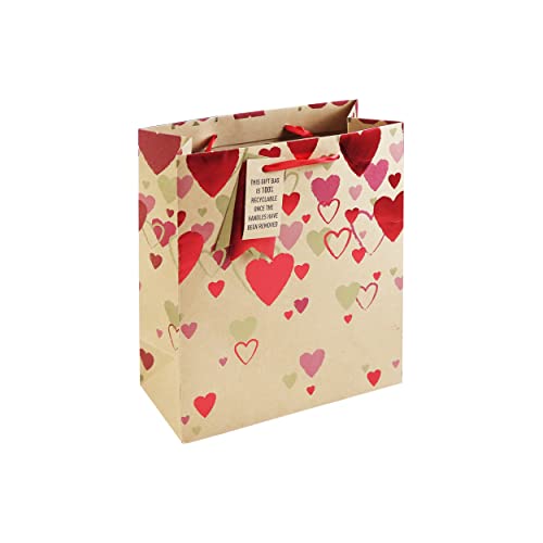 Eurowrap Falling Hearts Valentines Brown Kraft Paper Gift Bag Made from 100% Recycled Paper Love Special with Gift Tag Medium Size