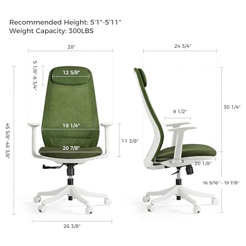 Image of EUREKA ERGONOMIC Mesh Office Chair, Ergonomic Office Desk Chair with Adjustable Headrest, Comfy Home Desk Chair with Adjustable Lumbar Support, High Back Office Chair with Arms and Wheels, Green