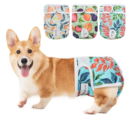 BELLA & PAL �􂦂錢�p���ނ� �����p�A3�p�b�N ���z�������p���ނ� ���^�� �R��h�~ �q�����ނ� �����A�����A���ւ̎����p(Natural Joy�AL(�E�G�X�g19-25�C���`)