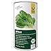 Produktbild Raab Vitalfood Bio Spinat-Pulver, 100 % Spinat aus biologischem Anbau in Deutschland, vegan, glutenfrei, enthält natürlicherweise Eisen, Calcium, Kalium und Folsäure, 1er Pack (210 g)