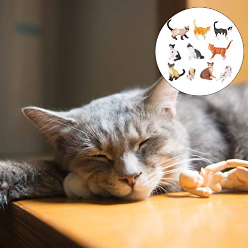 Toyvian 1 Conjunto Brinquedo Modelo de Gato Educacional Simulado AdorÃ¡vel Modelo de Gato Real Adorn