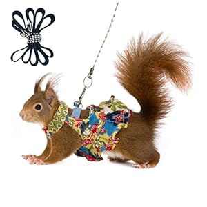 Squirrel Leash and Harness Set, Squirrel Traction Rope Strap, Ferret Squirrel Harness Vest, Adjustable Flora Small Animal Harness Vest for Ferret, Squirrel, Dwarf Chinchilla, Guinea Pig, Fancy Rat