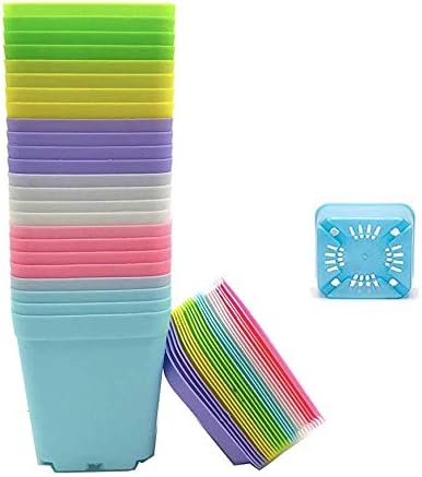 Anyumocz 24 Pack 3inch Multi Color Square Plastic Plant Pots,Seedling Nursery Transplanting Planter Container Indoor Outdoor for Your Room,Garden Office and Balcony Decor