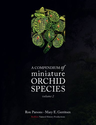 A Compendium of Miniature Orchid Species, Volume 2