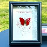 Papillon encadré : l'artisanat en forme de papillon ajoute une touche enchanteresse à votre étagère ou bureau, améliorant l'ambiance de n'importe quelle pièce, art encadré de papillon.
