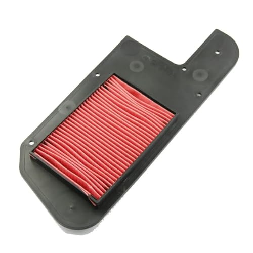 Filtre à air contre l'encrassement moteur compatible PS250 FES250