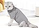 SUYUKU Katzen Genesungsanzug Anti Leck Kätzchen Body für Alternative elisabethanische Kragen Katzen Einteiler Operationsbody Warm Pyjama Kleidung Weicher Bequemer Pullover (Grau, L)