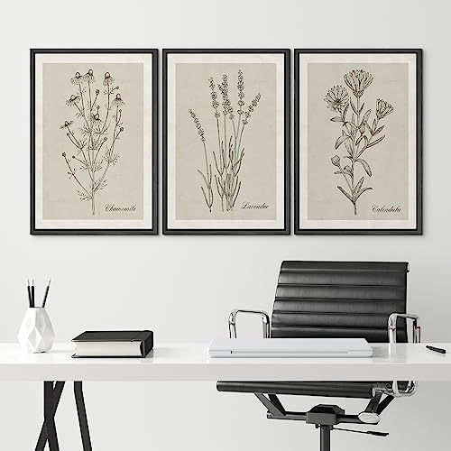 NWT Framed Canvas Print Wall Art Set Retro Vintage Antique Garden Wildflowers Nature Wilderness Illustrations Modern Art Decorative Minimalist Floral Botanical Flowers for Bedroom - 24"x36"x3 Black