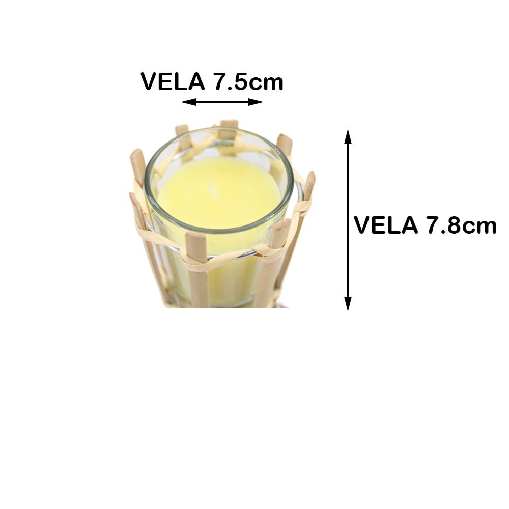 PLUS HOME Pack 3 Unidad antorcha de Jardin 78CM con Vela citronela 100 grs,3% citronelas.