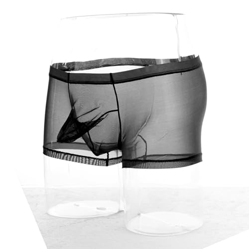 Men's Sexy See Through Boxer Briefs Mesh Sheer Dual Pouch Underwear2