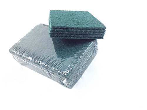 FOREST 10 Large 6 x 9 Heavy Duty Industrial Catering Grade Green Scouring Pads