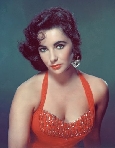 Perfect Posters and Pics Liz Taylor Color Portrait Photo Art Hollywood Photos 8x10