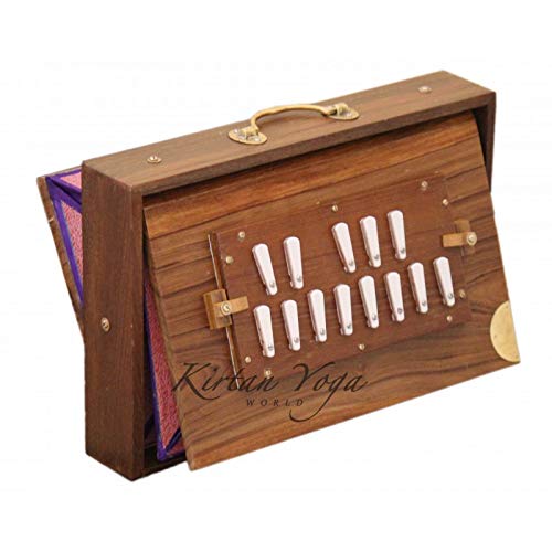 Shruti box Trova Prezzi delle Migliori Offerte Online