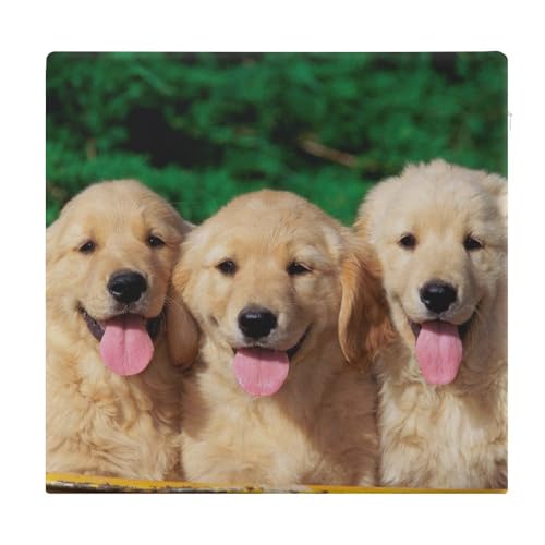 Coussin de chaise en mousse mémoire de qualité supérieure motif Retriever