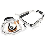 Taille Leine für Hundegasse, Stoßdämpferung Bungee Hunde Leine Taillengürtel Taille Doppelgriff Hunde Running Reflektierende Wanderleine mit Taillengürtel für Kleine Bis Große (Yellow)