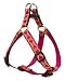 LupinePet 3/4-Inch Heart 2 Heart 20 to 30-Inch Step-In Harness for Medium Dogs