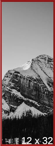 Frame It Easy 12 x 32 Red Metal Frame (Ashford)