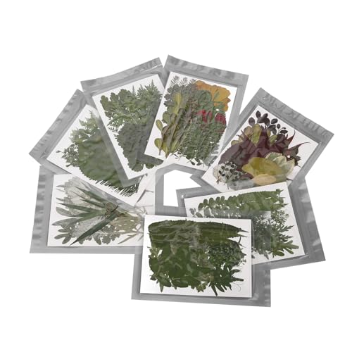 Kit de Flores Secas Prensadas DIY, 245 Peças, Elegância , Multifuncional, para Joias, Convites e Mui