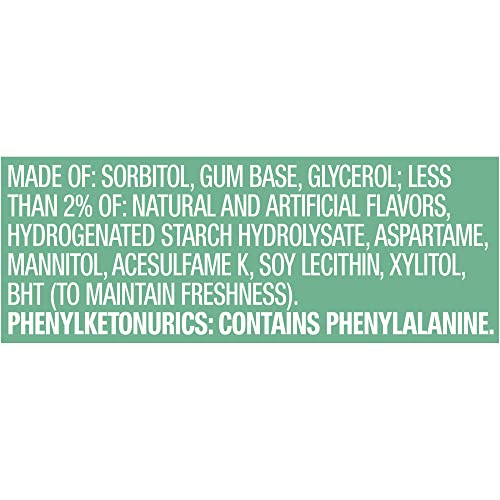 ORBIT Sweet Mint Chewing Gum Sugar-Free, 20 Packs of 14-Pieces (280 Total) - ORBIT Gum Bulk