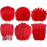 6 Styles and 3 Types Feathers Package: Total 240pcs,each with 40pcs individually packaged, together in a refreshing inner box, including goose feathers, chicken feathers and turkey feathers, to satisfy your fantasies about red feathers. High Quality ...