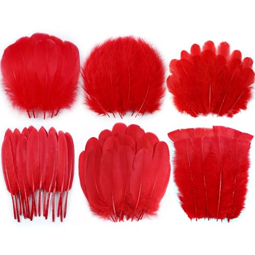 Larryhot Red Craft Feathers Bulk - 240pcs 6 Style Mixed Natural Feathers for Wedding Home Party Dream Catcher Supplies and DIY Crafts (Red)