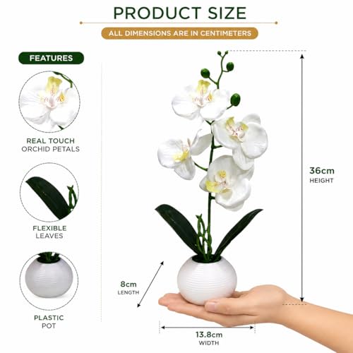 Image of CURATED CART Artifical Orchid Flower Pot, White Flower with Vase, Ideal for Home Decor, Office Decor, Gifting, 4 Flower Heads, Size 36 x 9cm