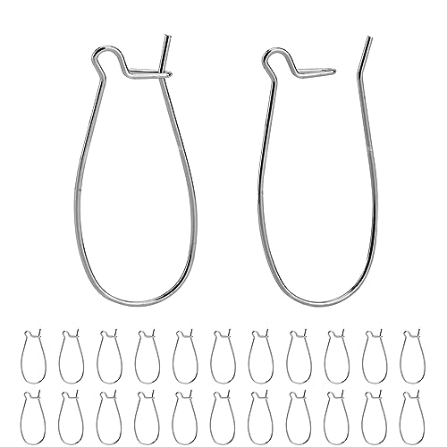 BEADNOVA Ear Wire Hooks 60pcs Stainless Steel Kidney Earring Hook Wire Ear Findings for Earring...