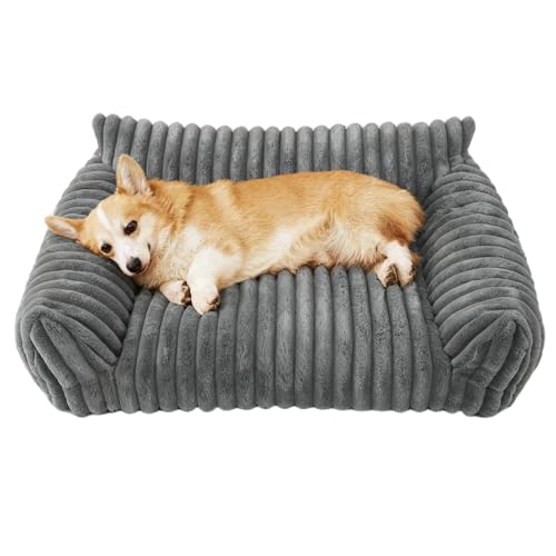GBKDQQ Katzenbett Groß, Orthopädisches Katzensofa 61x46x25cm, Hundesofa Kleine Hunde, Abnehmbar Waschbare rutschfeste Katzenbett Katzencouch...
