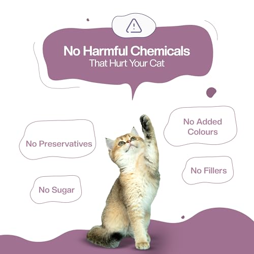 Image of BLEP All Recipes 100% Natural Wet Cat Food | Tuna, Mackerel, Sardine, Juicy Chicken & Cheeky Chicken | Human Grade, Zero Preservatives | High Protein Meal for Kittens & Adult Cats | 50g | 60 Pack