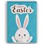 Item|019
