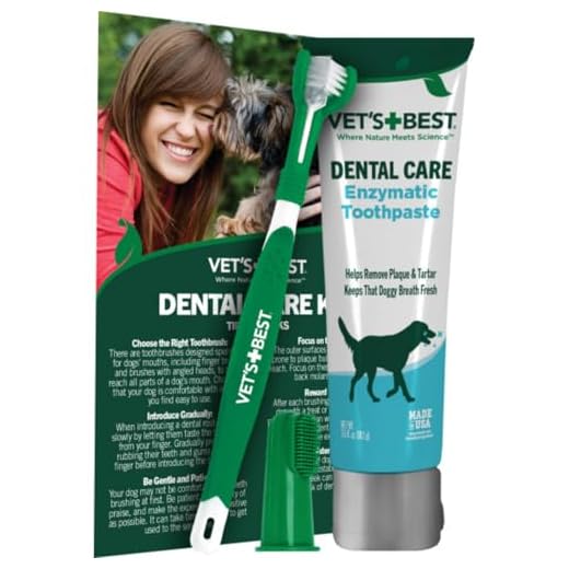 Vet’s Best Dog Toothbrush and Enzymatic Toothpaste Set | Teeth Cleaning and Fresh Breath Kit with Dental Care Guide | Vet Formulated