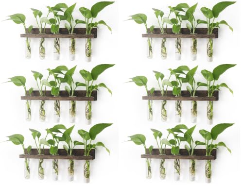 Renmxj Wall Hanging Plant Propagation Station 15 Glass Test Tubes - Brown (Pack of 2)