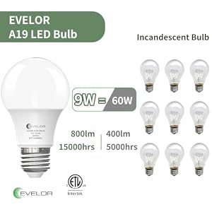 evelor 6-Pack A19 LED Light Bulbs, 60 Watt Equivalent, Daylight 5000K — photo 3 of 6