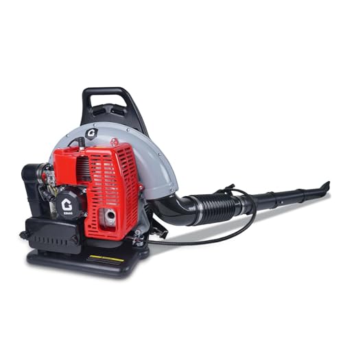 4.0 HP Backpack Gas Leaf Blower, 66CC 2 Stroke 880 CFM 320 MPH, Powerful Clearing Performance and Ergonomic, Variable Speed & Cruise Control Gas Powered Leaf Blower for Lawn Care and Snow Blowing
