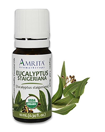 Amrita Aromatherapy Organic Eucalyptus, Staigeriana Essential Oil, 100% Pure Undiluted Eucalyptus staigeriana, Therapeutic Grade, Premium Quality Aromatherapy oil, Tested & Verified, 60ML