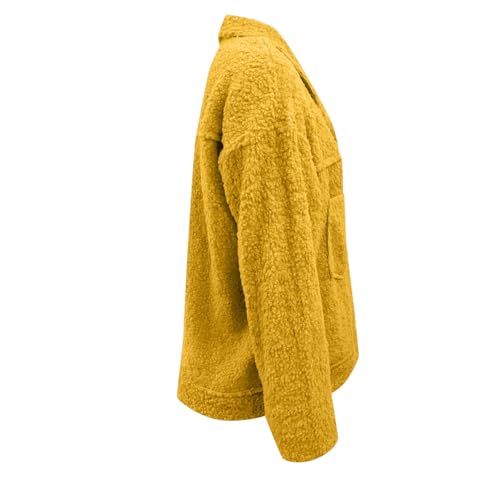 Abrigo de peluche con cuello de solapa abrigo cálido moda mujer 4