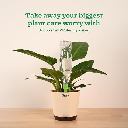 Image of UGAOO Self Watering Spikes for Plants Set of 12 | Automatic Water Spikes | Plant Auto Watering System | Water Dripper for Plants | Self Watering for Indoor Plants | Vacation Plant Waterer