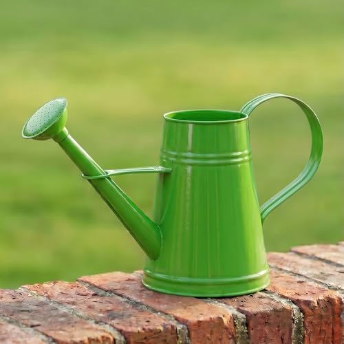 Stella 3 L Metal Çiçek Bahçe Sulama Kabı – Modern Dekoratif Çok Amaçlı Sulak (Yeşil)