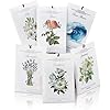 MYARO 12 Packs Scented Sachets for Drawer and Closet Long Lasting Sachets Bags Home Fragrance Sachet 6 Scents Option Lavender Rose Jasmine Ocean Gardenia Lily