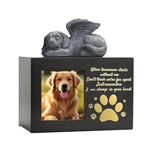 NPXUAMTJ Hunde Urne mit Engelsfigur und Pfotenabdruck