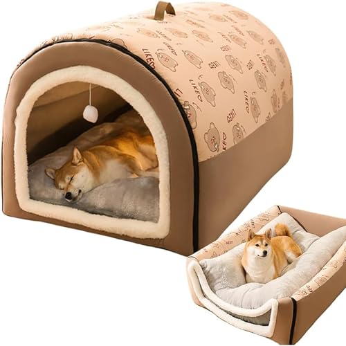 ybgnEX ybgxbh h[^ ܂肽 [֗ NbVt ~  ~p ʔN ΍ 薰   //^ 􂦂  L nEX L xbh \t@ ӂӂ uE L