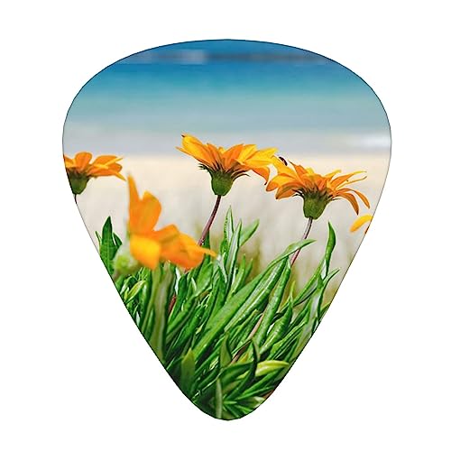 Flower At The Beach M^[sbN 12sbN t@bV p[\iCY x[X sbN v GLM^[ vNg yANZT[