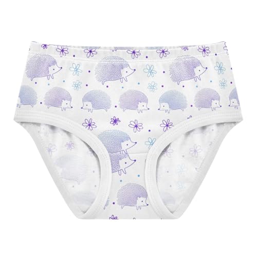 Girls' Underwear Cute Hedgehog Toddle Brief Panties 2302928