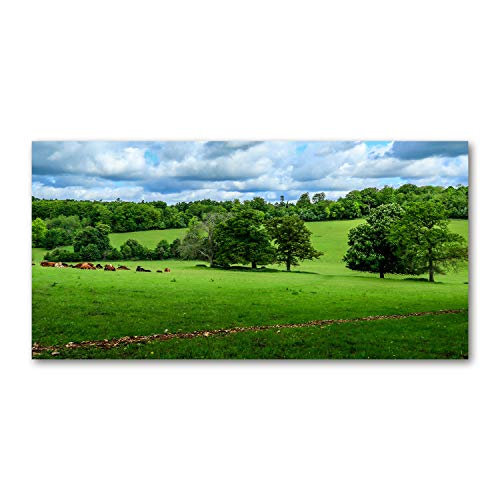 Collines vertes crédence de cuisine en verre trempé 100x50cm fond de hotte