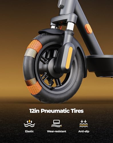Electric Scooter with Off Road Tires