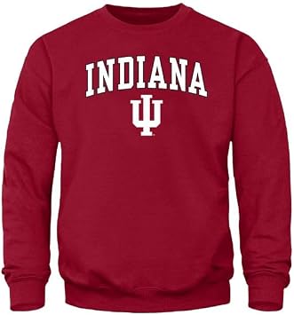 Barnesmith Spirit Logo, Adult Unisex, Crewneck Sweatshirt for College