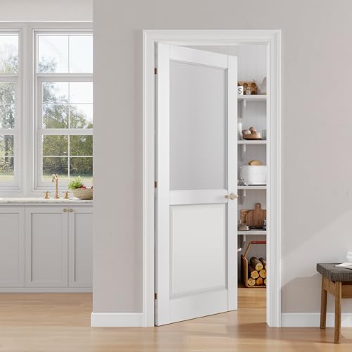 SMARTSTANDARD 32x80 Half Frosted Glass Door Slab