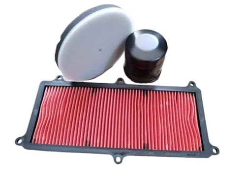 Filtre à air moteur pour Zontes 350E 350D 350T protégeant le bloc d'alimentation