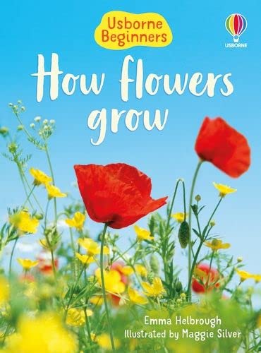 how flowers grow